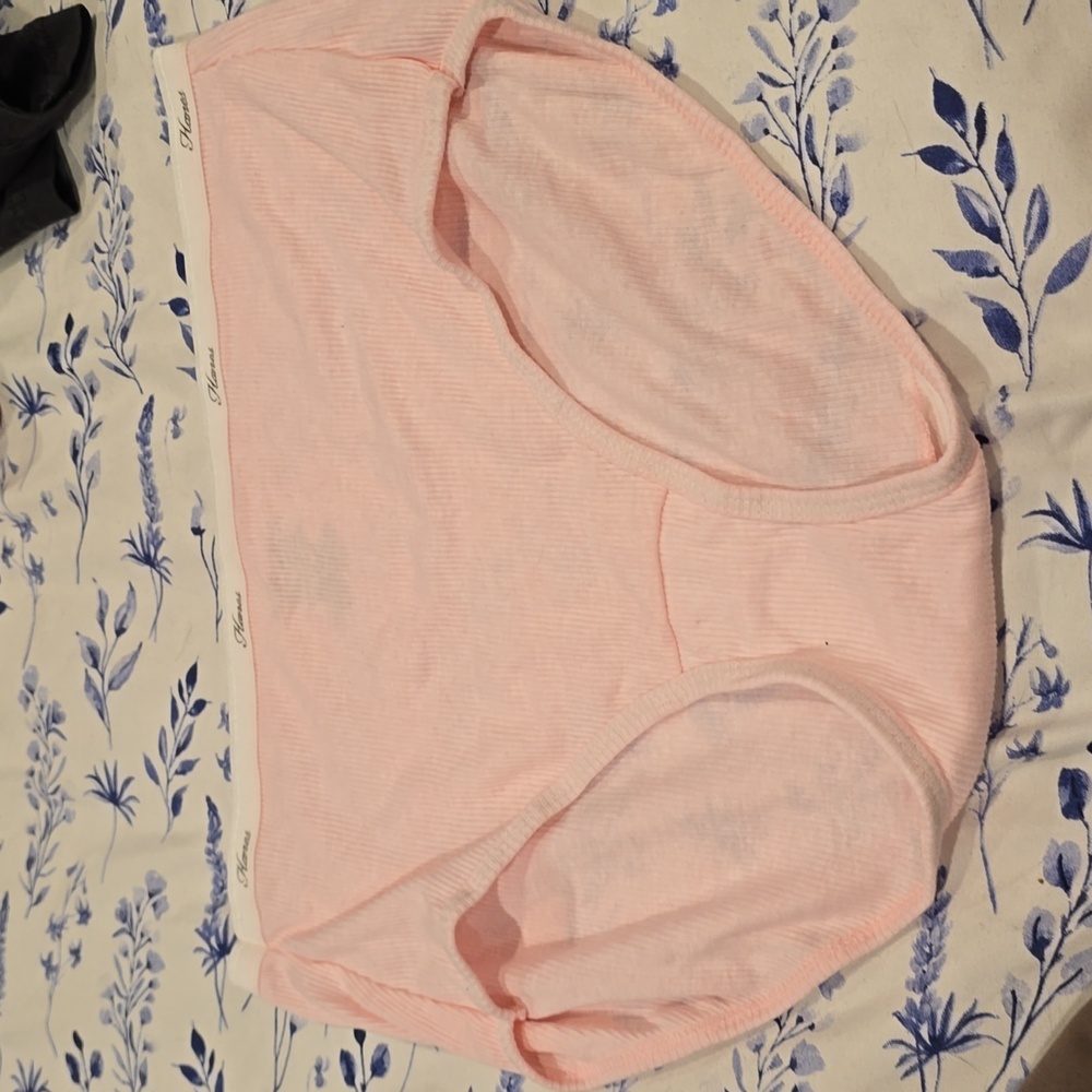 ❤️10/$10 Nwot Hanes panties
